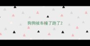 狗狗被车撞了跑了