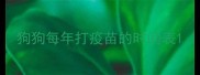 狗狗每年打疫苗的时间表