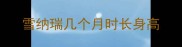 雪纳瑞几个月时长身高
