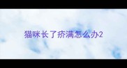 猫咪长了疥满怎么办