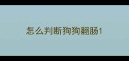 怎么判断狗狗翻肠