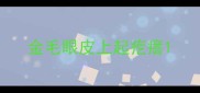 金毛眼皮上起疙瘩