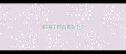 狗狗子宫蓄脓呕吐