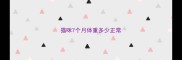 猫咪7个月体重多少正常