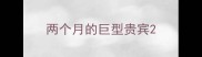 两个月的巨型贵宾