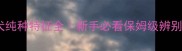 金毛犬纯种特征全新手必看保姆级辨别指南