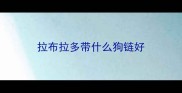 拉布拉多带什么狗链好