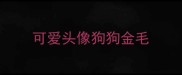 可爱头像狗狗金毛