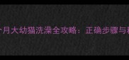 新手必看1个月大幼猫洗澡全攻略正确步骤与科学护理指南