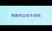 狗狗可以吃牛肉吗