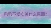狗狗不爱吃饭什么原因