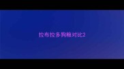 拉布拉多狗粮对比