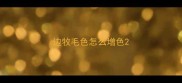 边牧毛色怎么增色