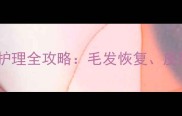 泰迪剃毛后三个月护理全攻略毛发恢复皮肤养护与美容技巧
