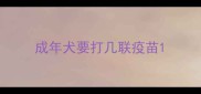 成年犬要打几联疫苗