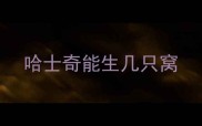 哈士奇能生几只窝