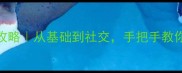 6个月比特犬训练全攻略从基础到社交手把手教你养出好性格比特犬