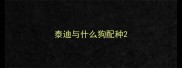 泰迪与什么狗配种