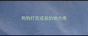 狗狗打完疫苗的地方疼