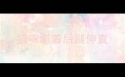 猫咪趴着后腿伸直