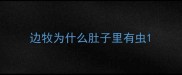 边牧为什么肚子里有虫