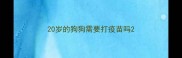 20岁的狗狗需要打疫苗吗