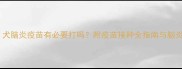 小狗必看犬脑炎疫苗有必要打吗附疫苗接种全指南与脑炎预防措施