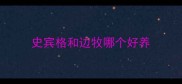 史宾格和边牧哪个好养