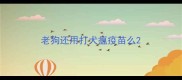 老狗还用打犬瘟疫苗么