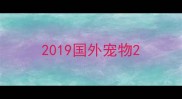 2019国外宠物