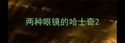 两种眼镜的哈士奇