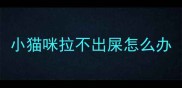 小猫咪拉不出屎怎么办