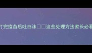 狗狗打完疫苗后吐白沫这些处理方法家长必看