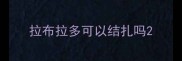 拉布拉多可以结扎吗