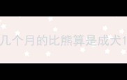 几个月的比熊算是成犬
