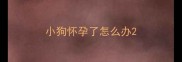 小狗怀孕了怎么办