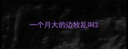 一个月大的边牧乱叫