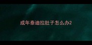 成年泰迪拉肚子怎么办