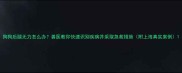 狗狗后腿无力怎么办兽医教你快速识别疾病并采取急救措施附上海真实案例