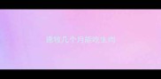德牧几个月能吃生肉