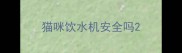 猫咪饮水机安全吗