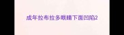 成年拉布拉多眼睛下面凹陷