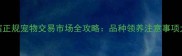 哈尔滨正规宠物交易市场全攻略品种领养注意事项大公开
