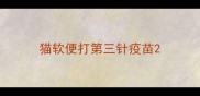 猫软便打第三针疫苗