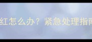 拉布拉多眼睛发红怎么办紧急处理指南与专业护理全