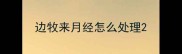 边牧来月经怎么处理