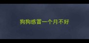 狗狗感冒一个月不好