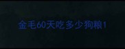 金毛60天吃多少狗粮