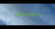 狗狗打疫苗都啥牌子好