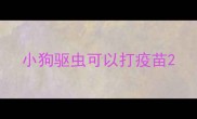 小狗驱虫可以打疫苗